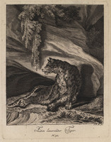 KG 01074
          <br/>
          Entwurf einiger Thiere. Zweyter Theil. (20 bladen)
          <br/>
          <em>Ridinger, Johann Elias (1698-1767)</em>